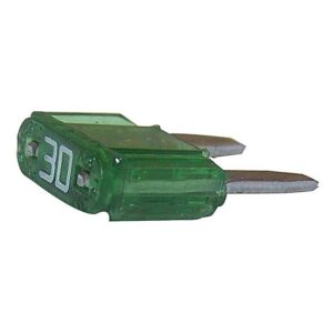 6101489.jpg Crown Automotive 6101489 30-Amp Mini Fuse for Jeep Vehicles